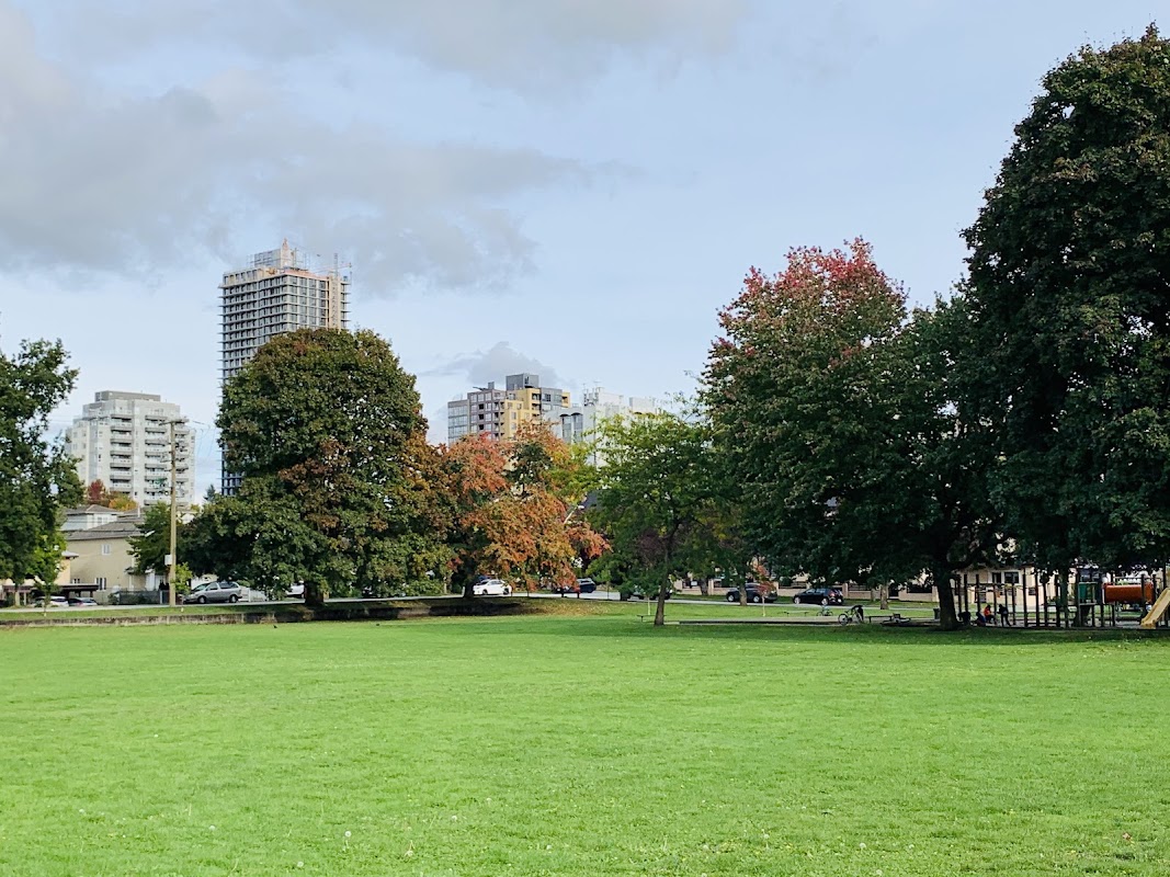 Basketball court - Collingwood Park