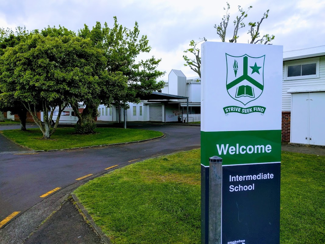 Cricket grounds (2) - Mount Roskill Intermediate School