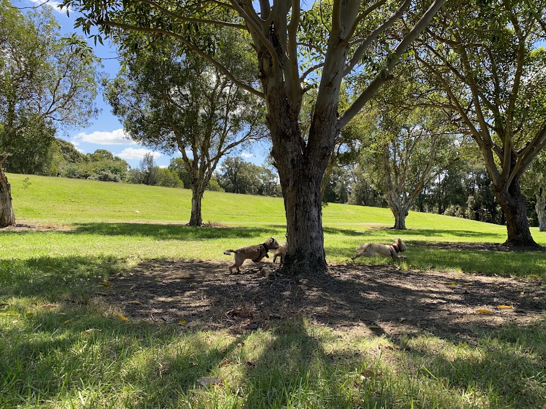 Baseball diamond #2 - Majors Bay Reserve