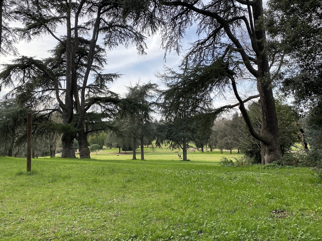 Campo da pallavolo - Villa Doria Pamphilj