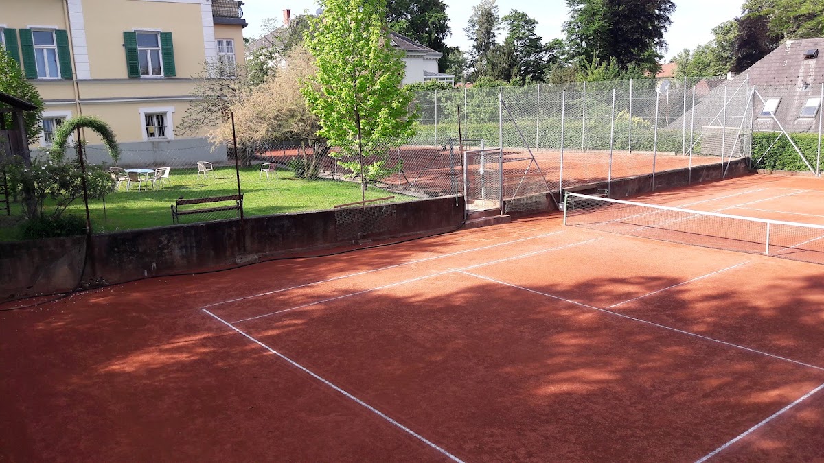 Tennisplätze (6) - Am Naturdenkmal Platane