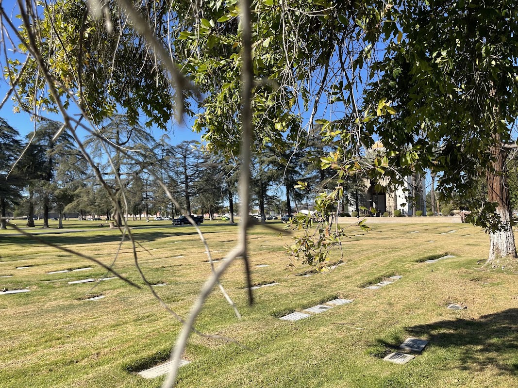 Baseball diamond - Larry L. Maxam Memorial Park