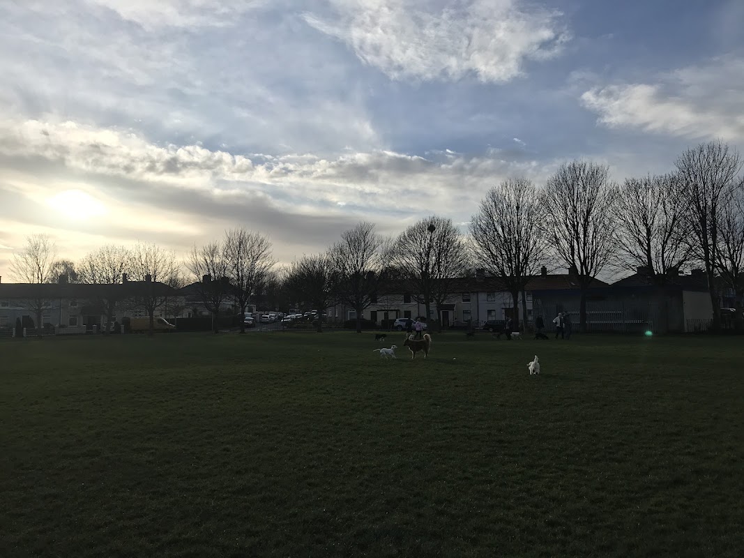 Marino AFC