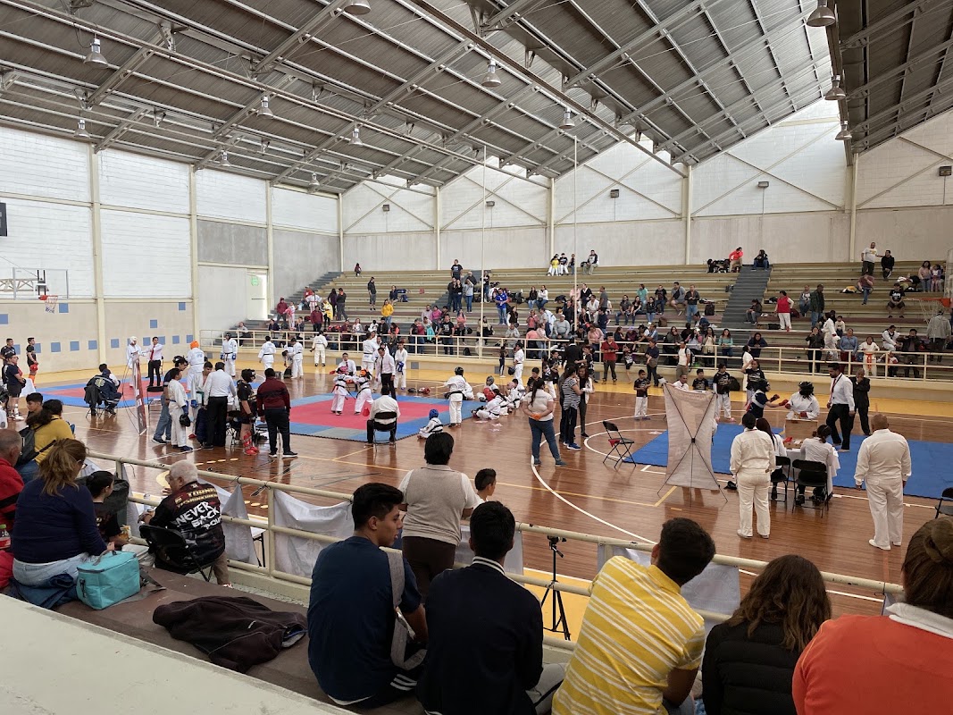 Canchas de voleibol (9) - Deportivo Hermanos Galeana