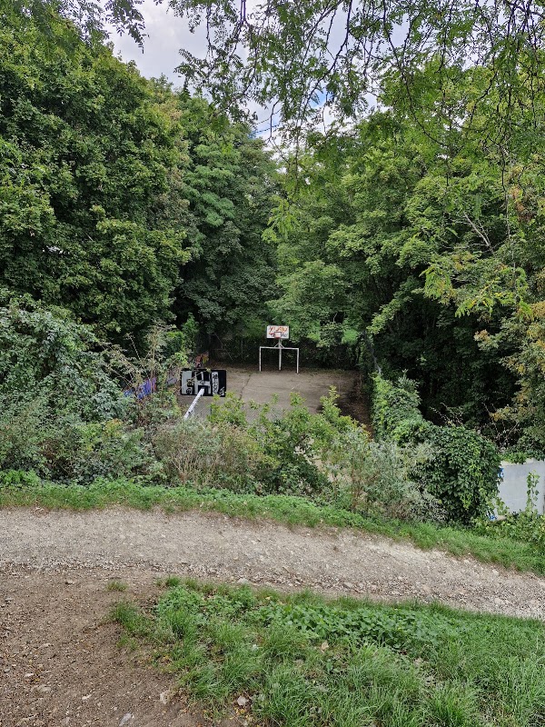 Terrain de basket - Jardin des Curiosités