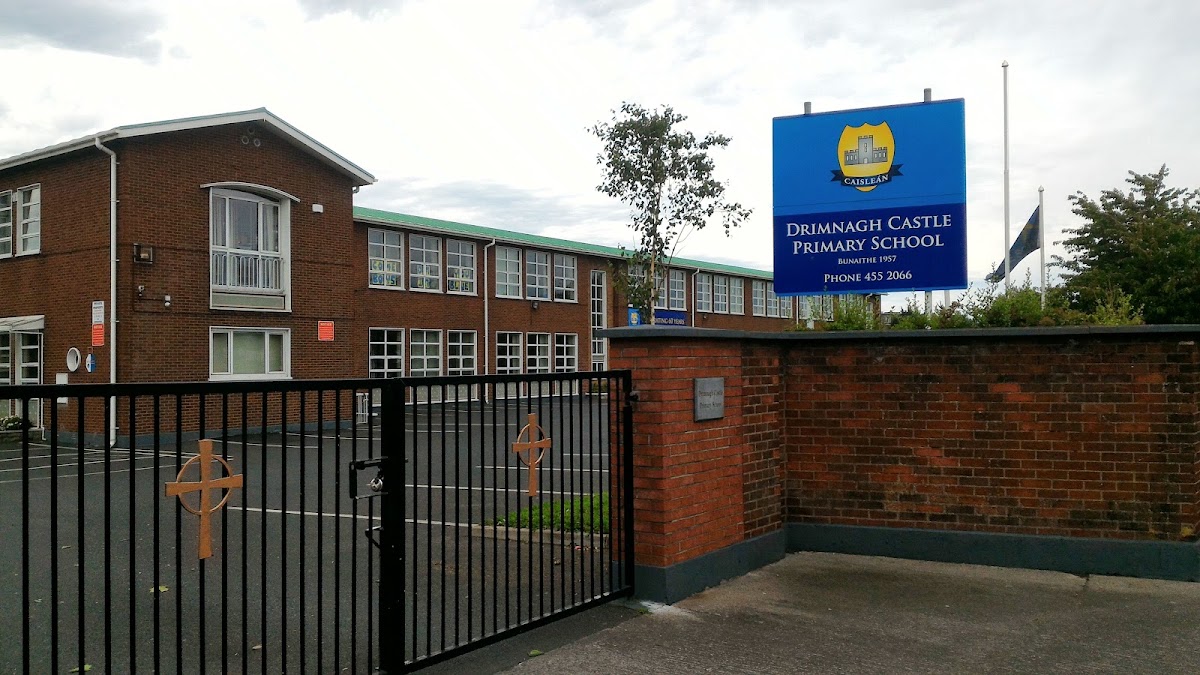 Basketball court - Drimnagh Castle Secondary School