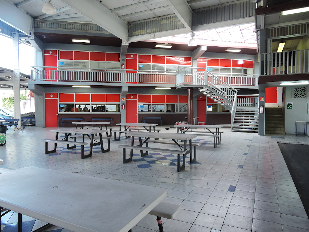 Cancha de fútbol - Colegio Castillo Chapultepec