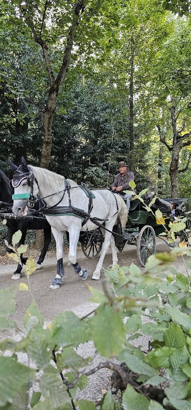 Tennisplatz - HBLFA für Gartenbau Schönbrunn