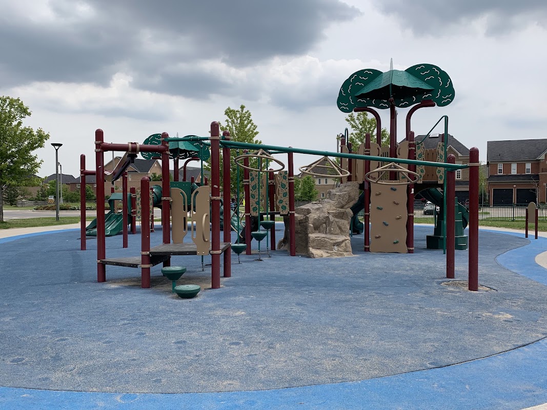 Soccer field - Trillium Woods Public School