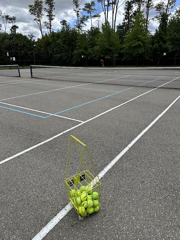 Tennis courts (2) - North Thornhill Community Centre