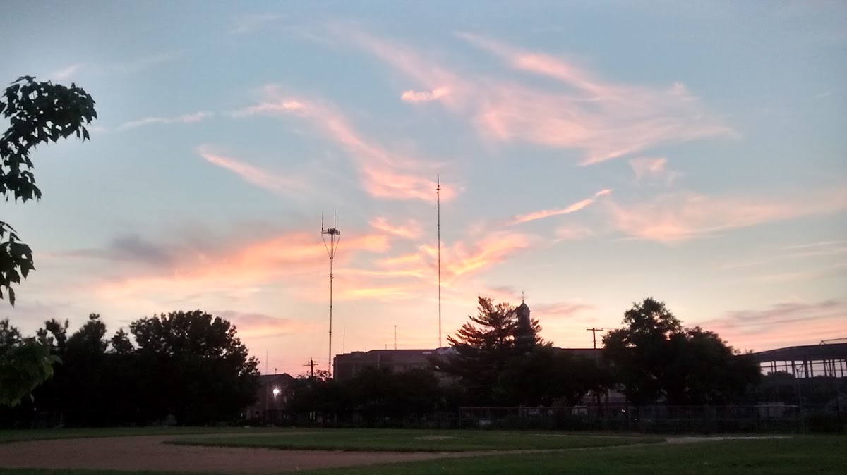 Soccer field #2 - Roosevelt Park