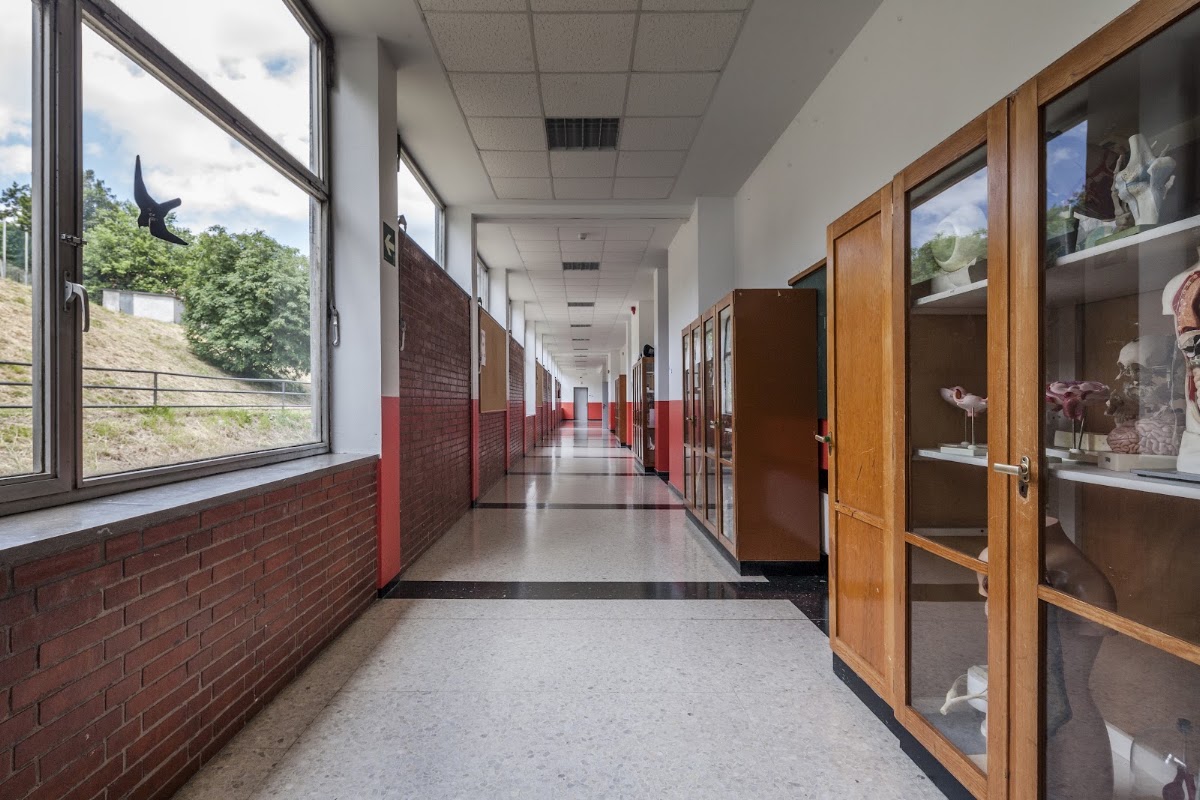Pista de baloncesto - Colegio Alemán de Bilbao