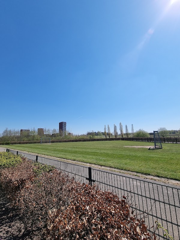 Voetbalveld #11