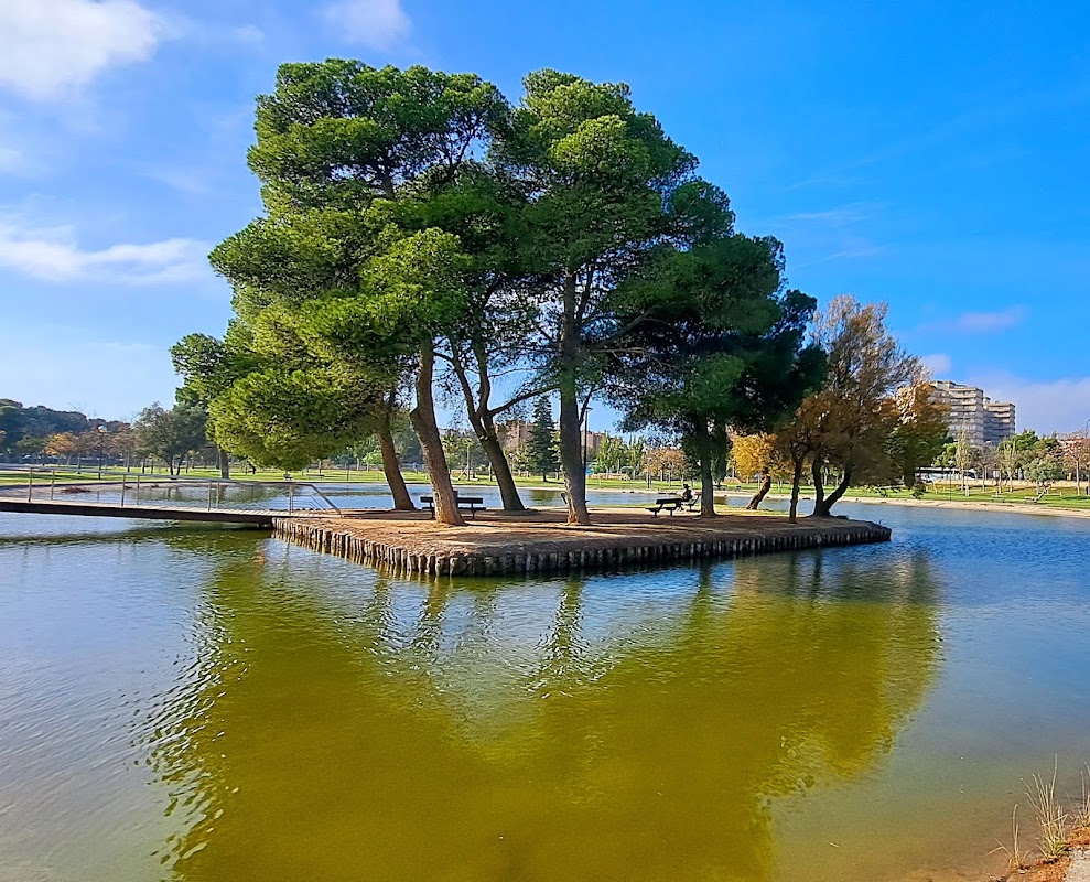 Pistas de baloncesto (2) - Parque del Tío Jorge