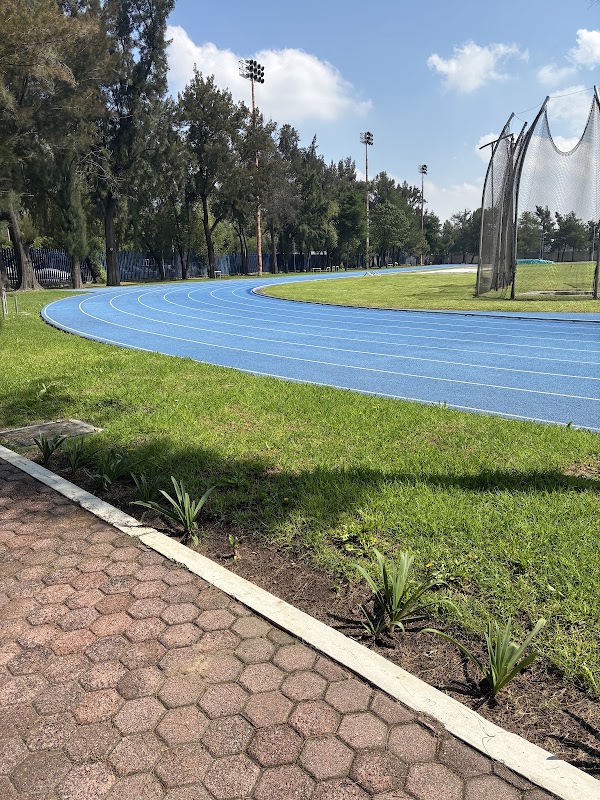 Pista de atletismo #21