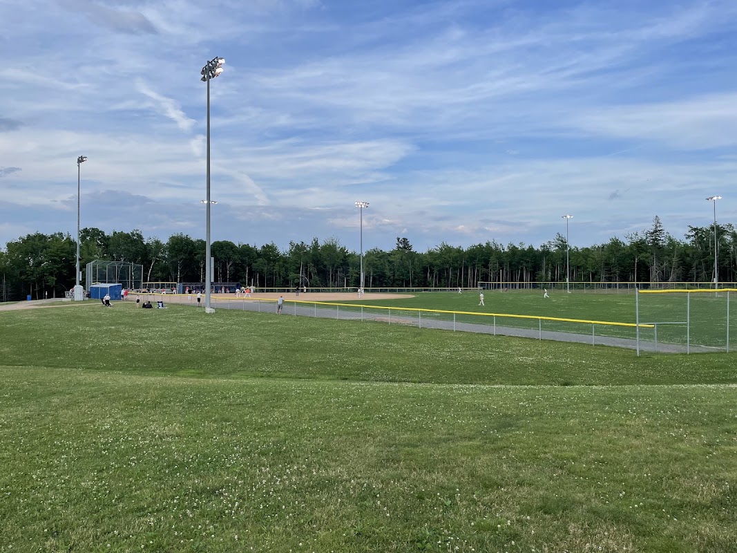 Baseball Diamond #1229