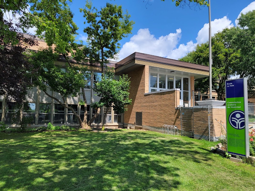 Basketball court - École La Voie