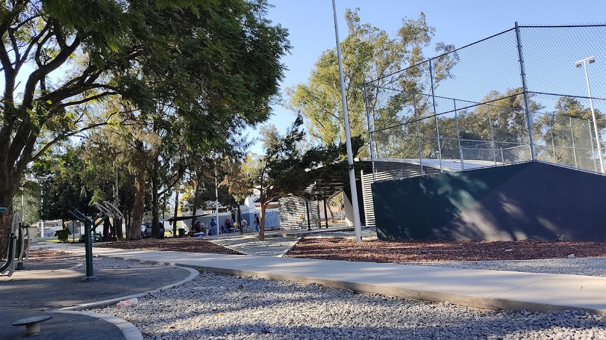 Cancha de fútbol #5