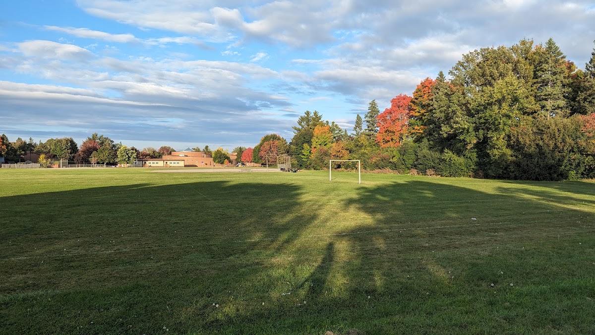 Basketball court - Roland Michener Public School