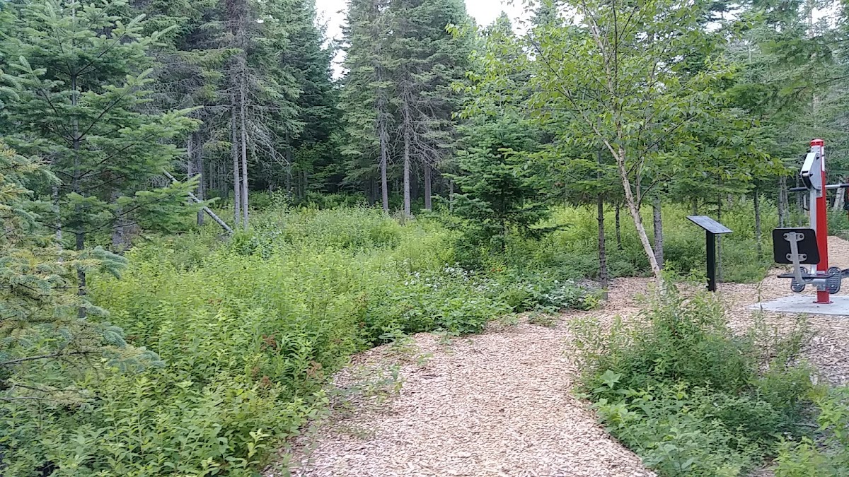 Parc du Citoyen
