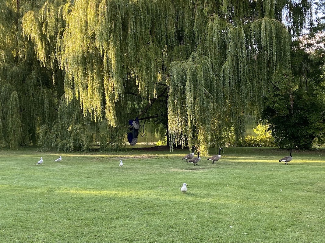 Parc Angrignon Soccer Fields