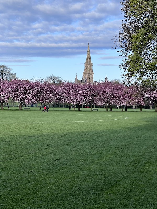 Cricket ground #2 - The Meadows