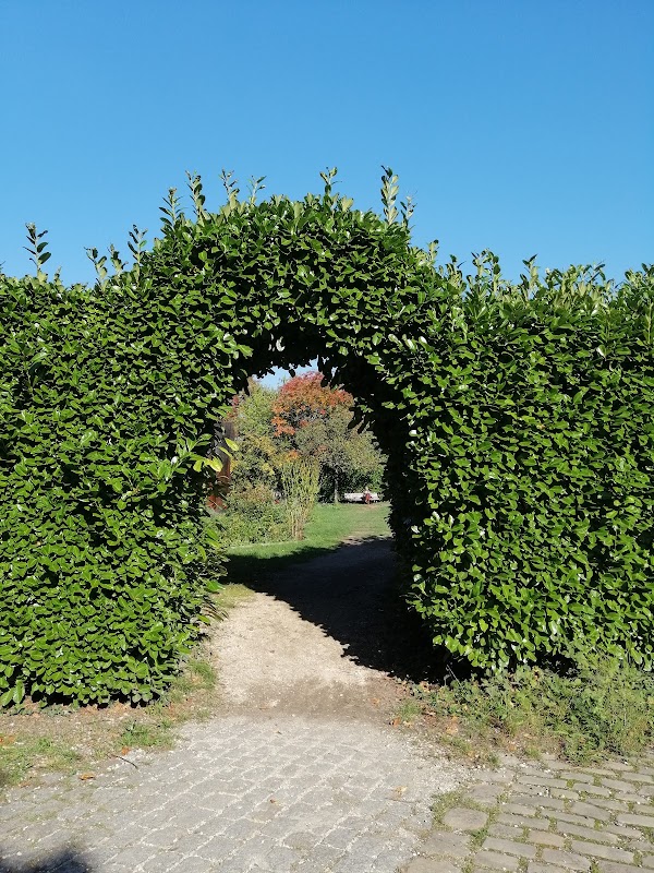 Terrain de basket - Parc de l'île Saint-Germain