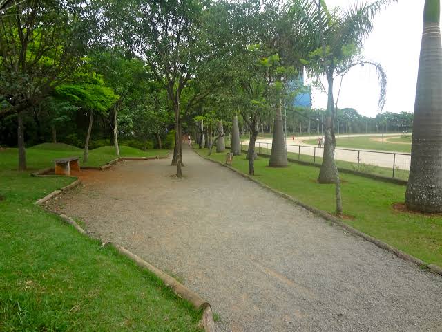 Pistas de atletismo (4) - Parque da Vila Guilherme-Trote