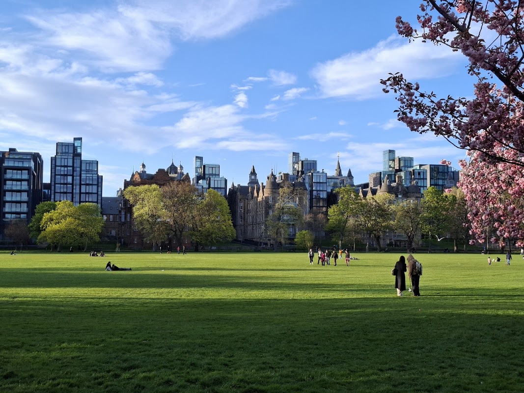 Cricket ground #1 - The Meadows