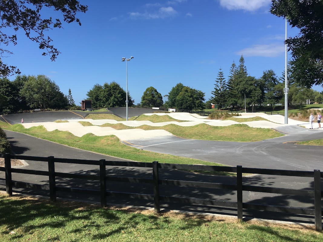 Football pitch - Lloyd Elsmore Park