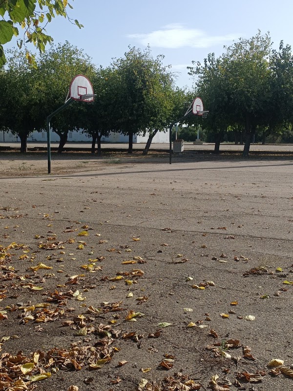 Pistas de baloncesto (2) - Parque del Alamillo