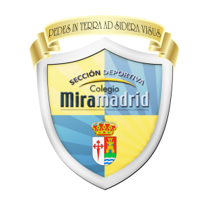 Campo de fútbol - Colegio Miramadrid