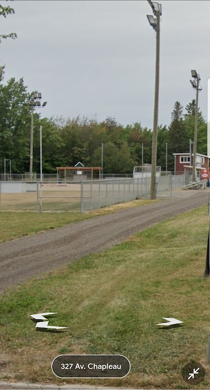 Baseball Diamond #1595
