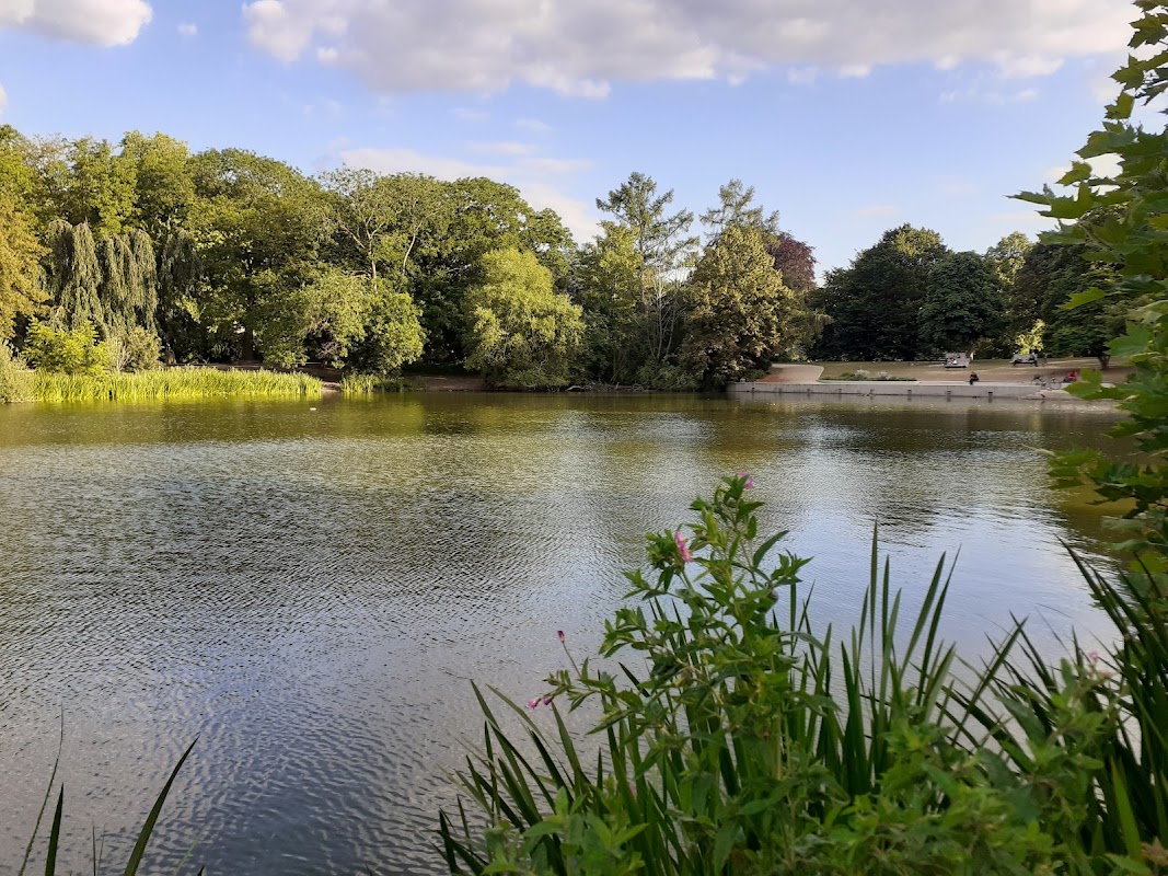 Tischtennisplatten (3) - Zoopark