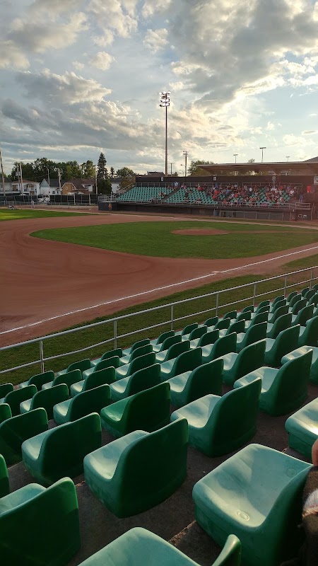 Baseball Diamond #1613