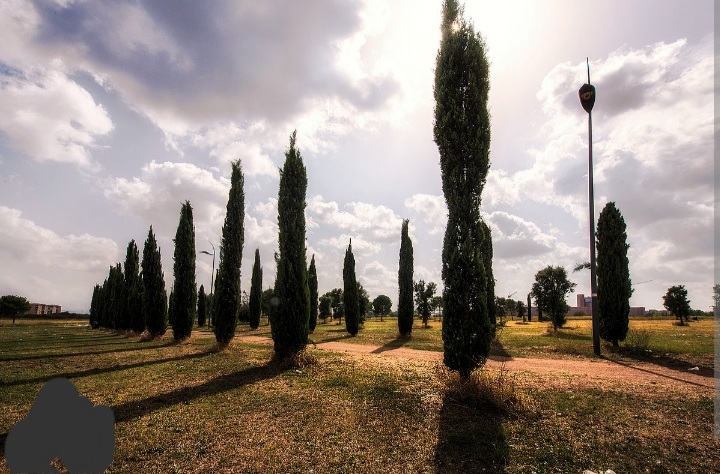 Campi da tennis (2) - Pratone di Torre Spaccata