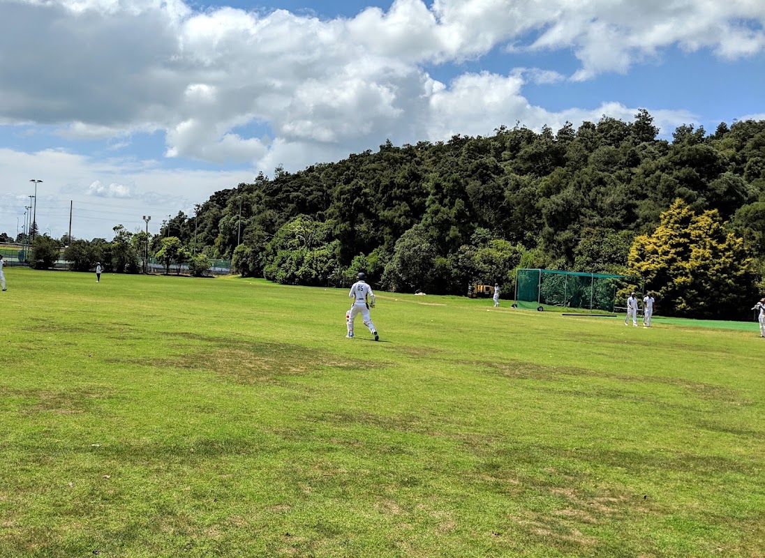 Cricket Nets