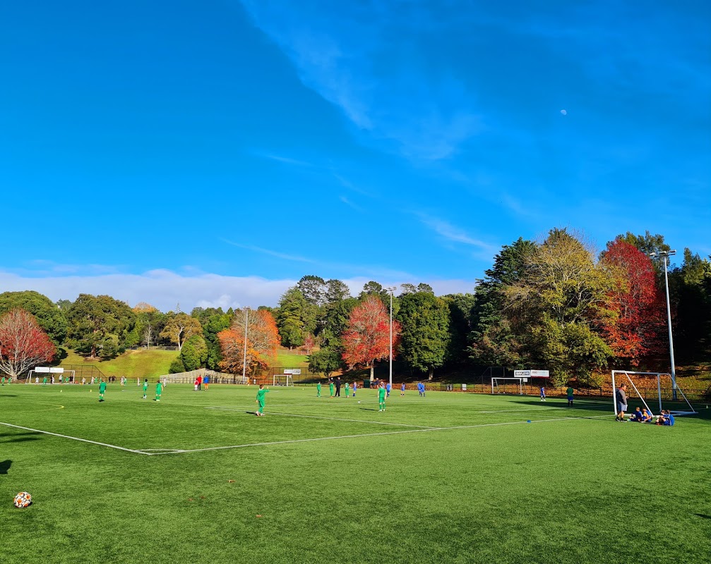 Football pitch #3 - Tahurangi / Crum Park
