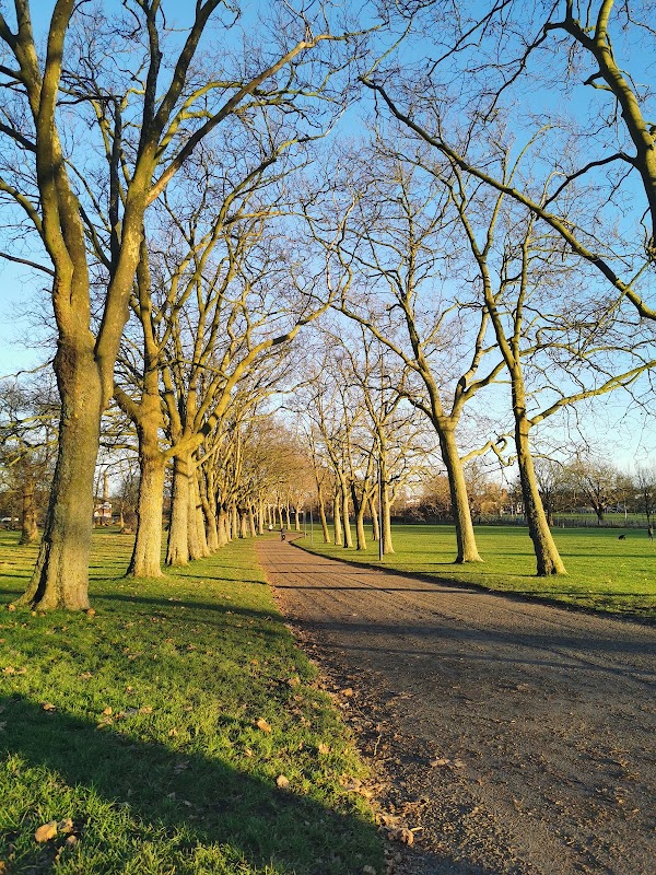 Table tennis table - Gladstone Park