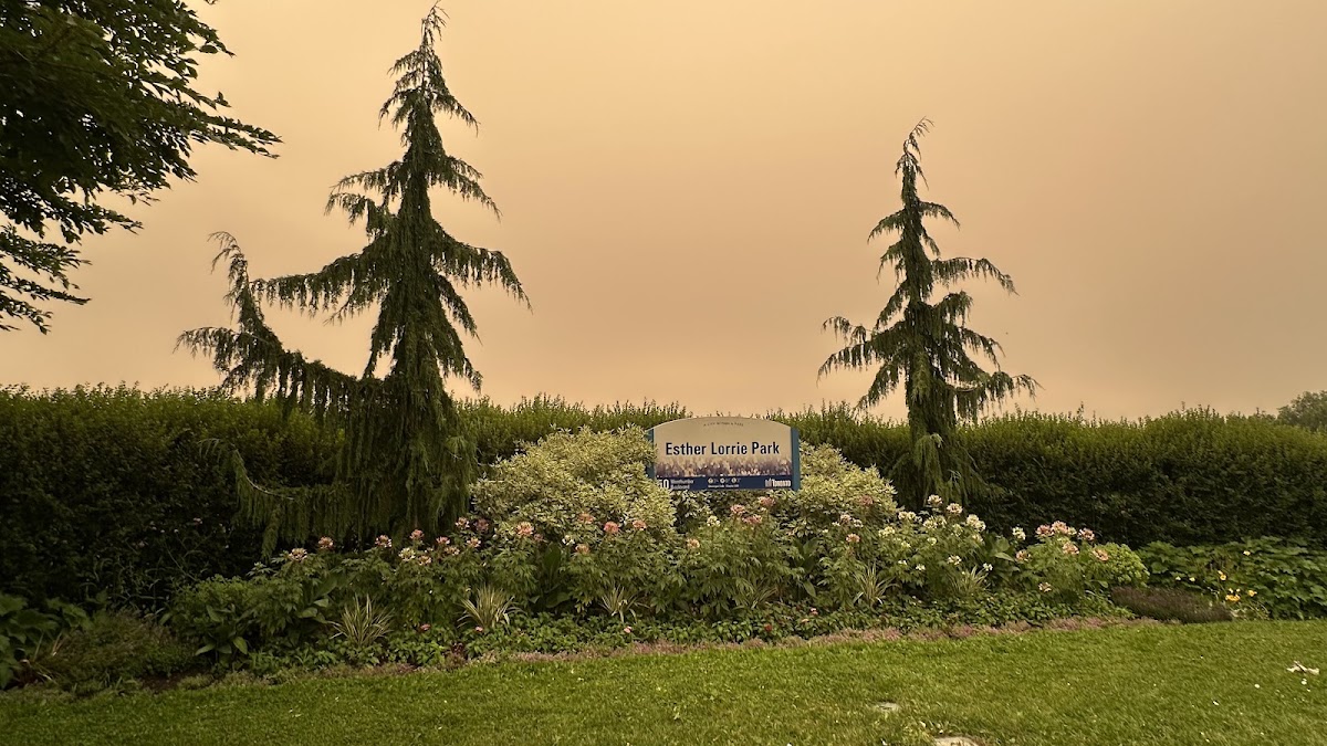 Baseball diamond - Esther Lorrie Park