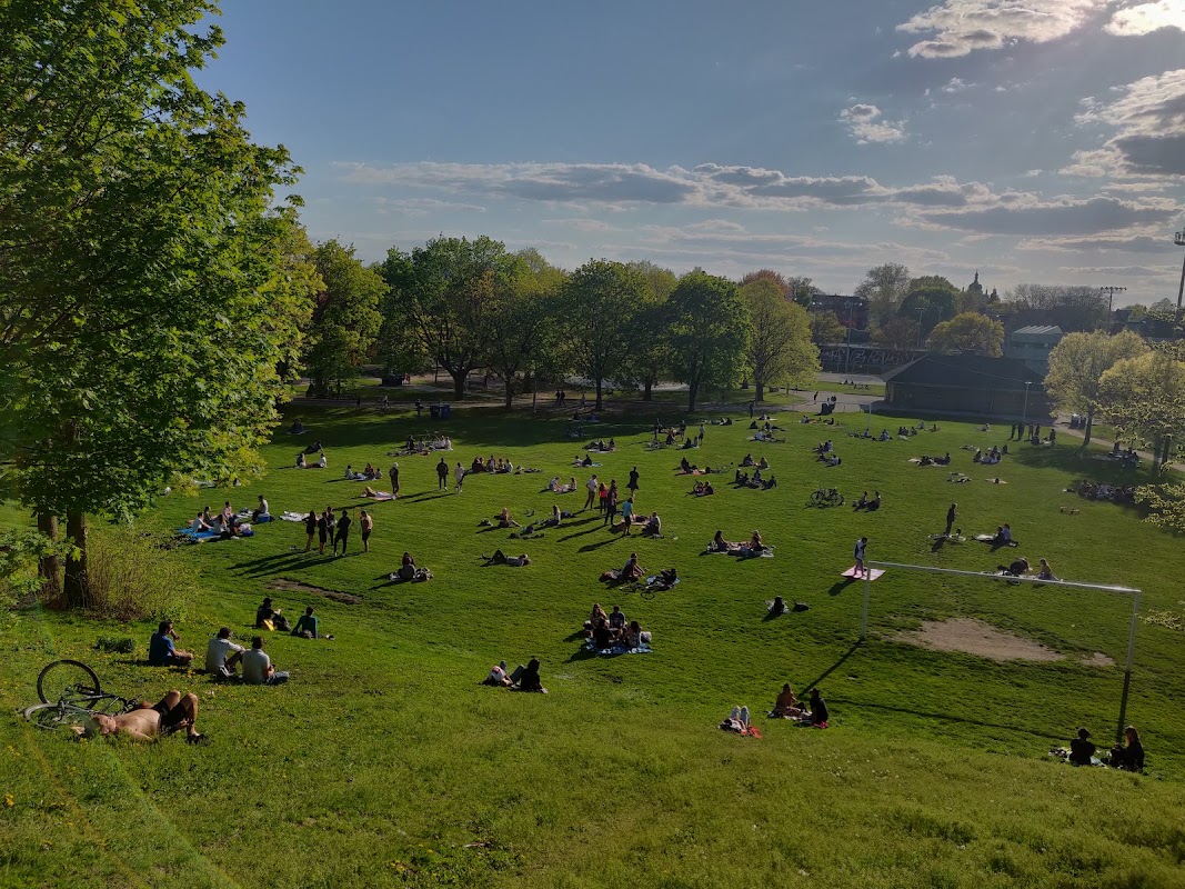 Soccer field - Christie Pits Park