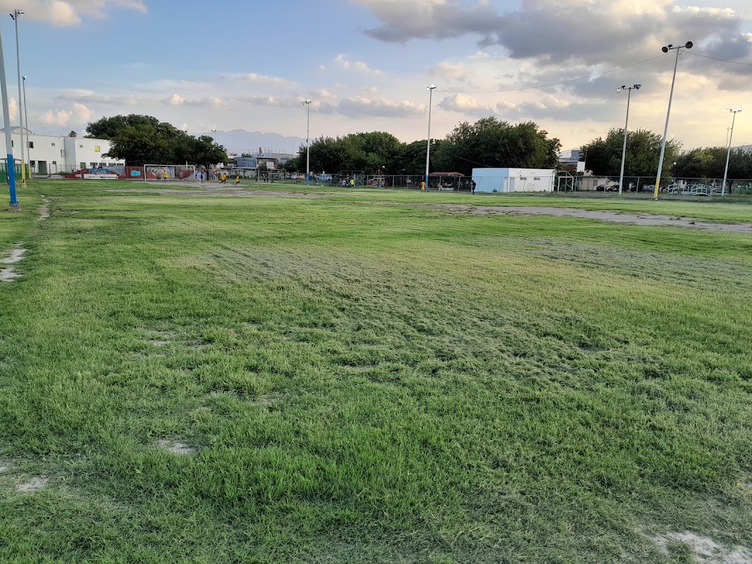 Canchas de voleibol (2) - Canchas