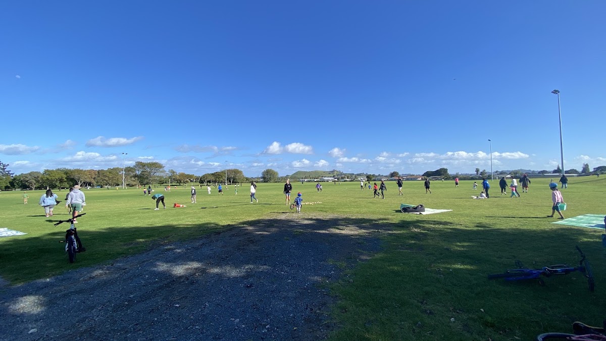 Cricket ground #2 - Māngere Centre Park