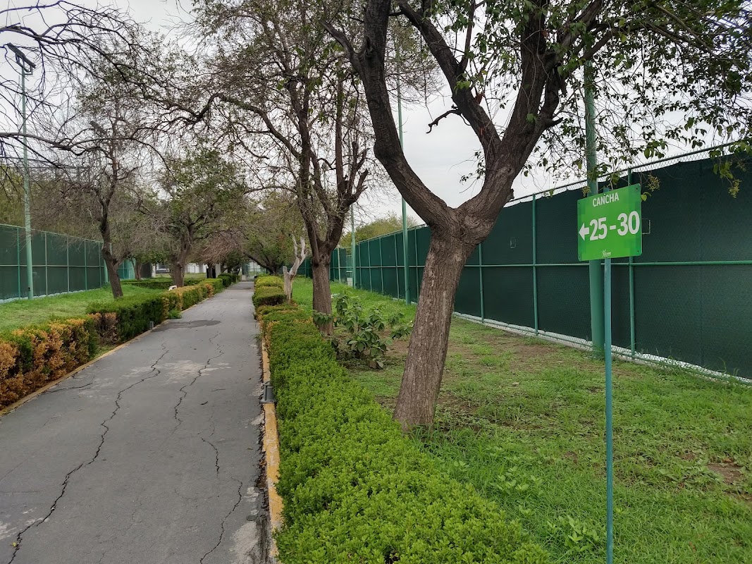 Canchas de tenis (7) - Centro Deportivo