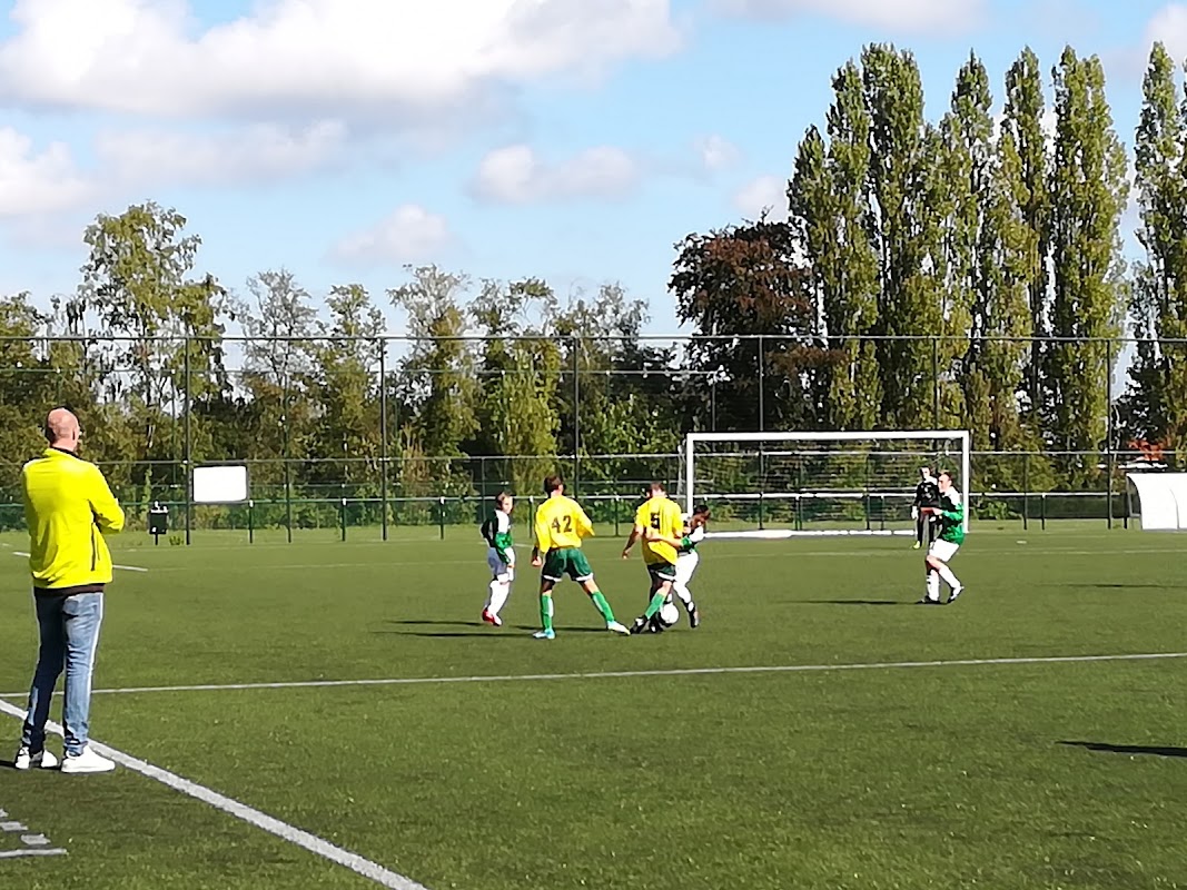 Terrains de football (3) #1