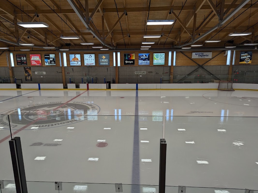 Arena and Synthetic Field