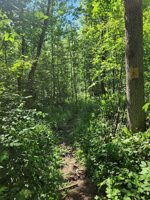 Mantle Lake Park