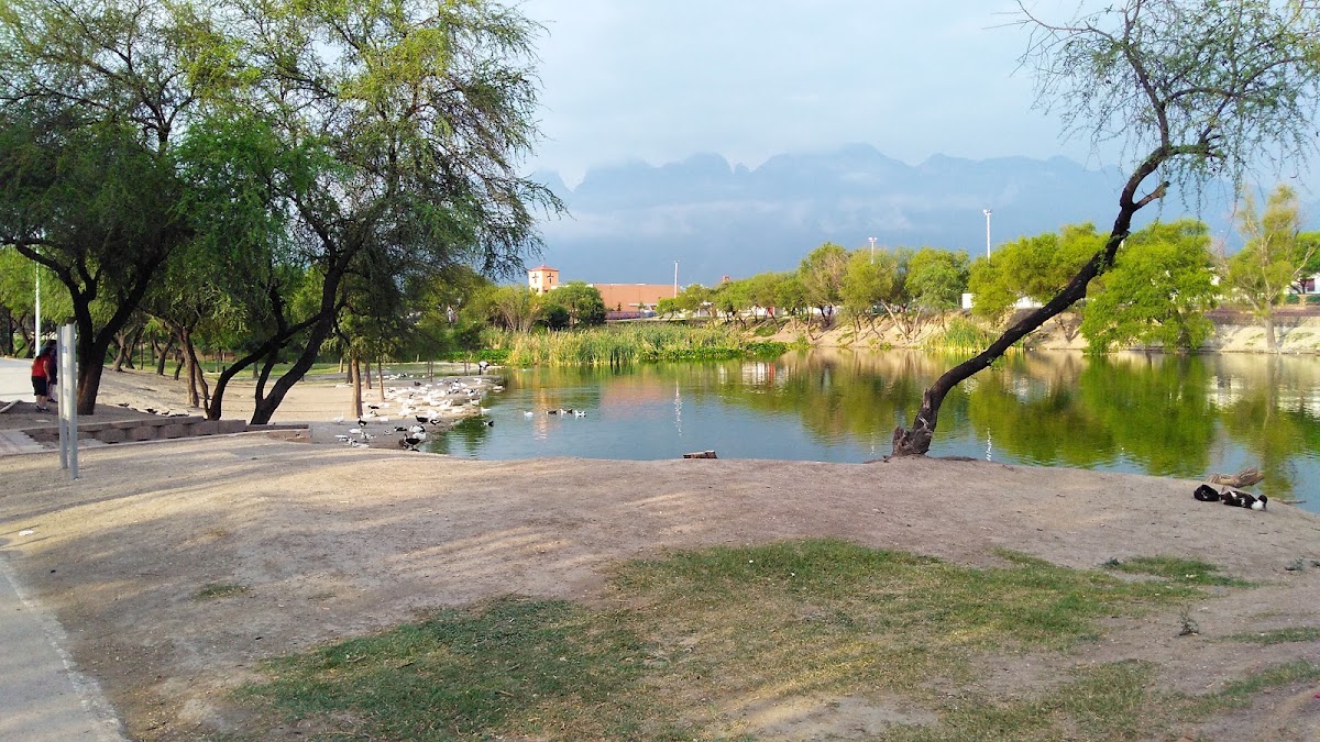 Cancha de fútbol - Parque Recreativo Solidaridad
