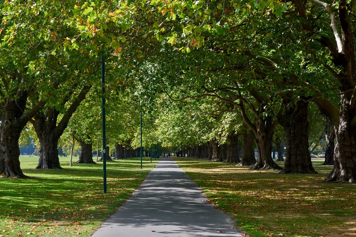 Rugby pitches (3) - Hagley Park North