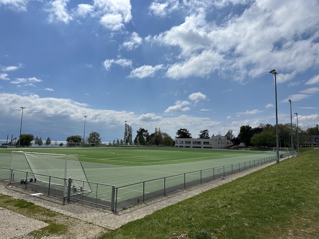 Terrains de football (2) #2 - Université de Lausanne